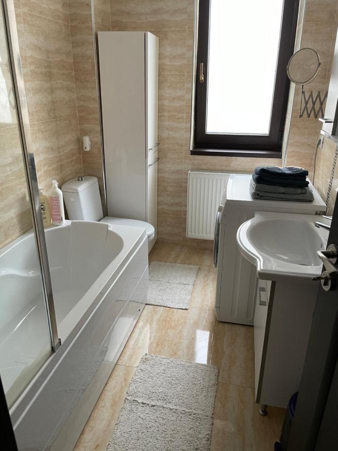 Apartament The Artist - Copou Jassy Zewnętrze zdjęcie